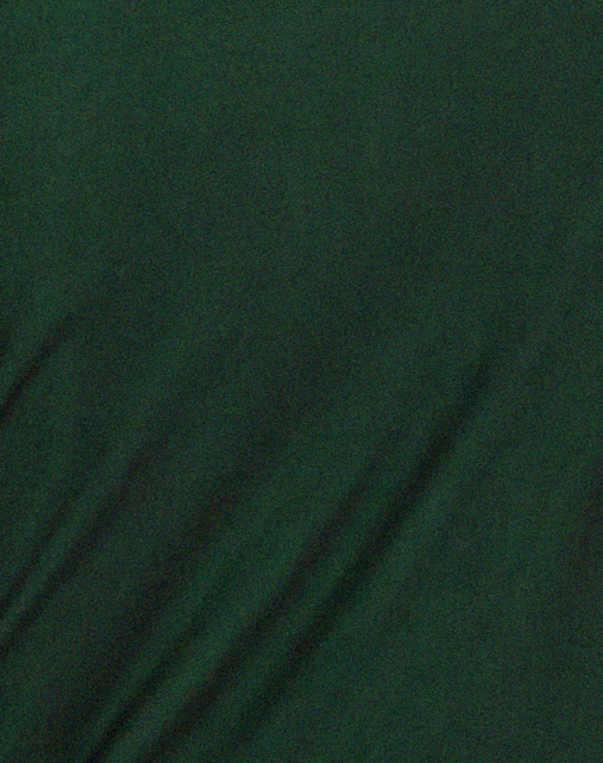 Roska Midi Dress in Black with Vibrant Green Lining